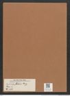Navicula brevis Greg. (de-Toni-Nr.: Genus 1, Species 436) Zeichnungen Sammlung Grunow Mappe 00391 (Herbarium_W_Grunow_drawings_Folder_00391)